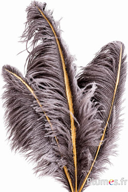 Struisvogel met gouden schacht - 30-40 cm - natuurlijk grijs